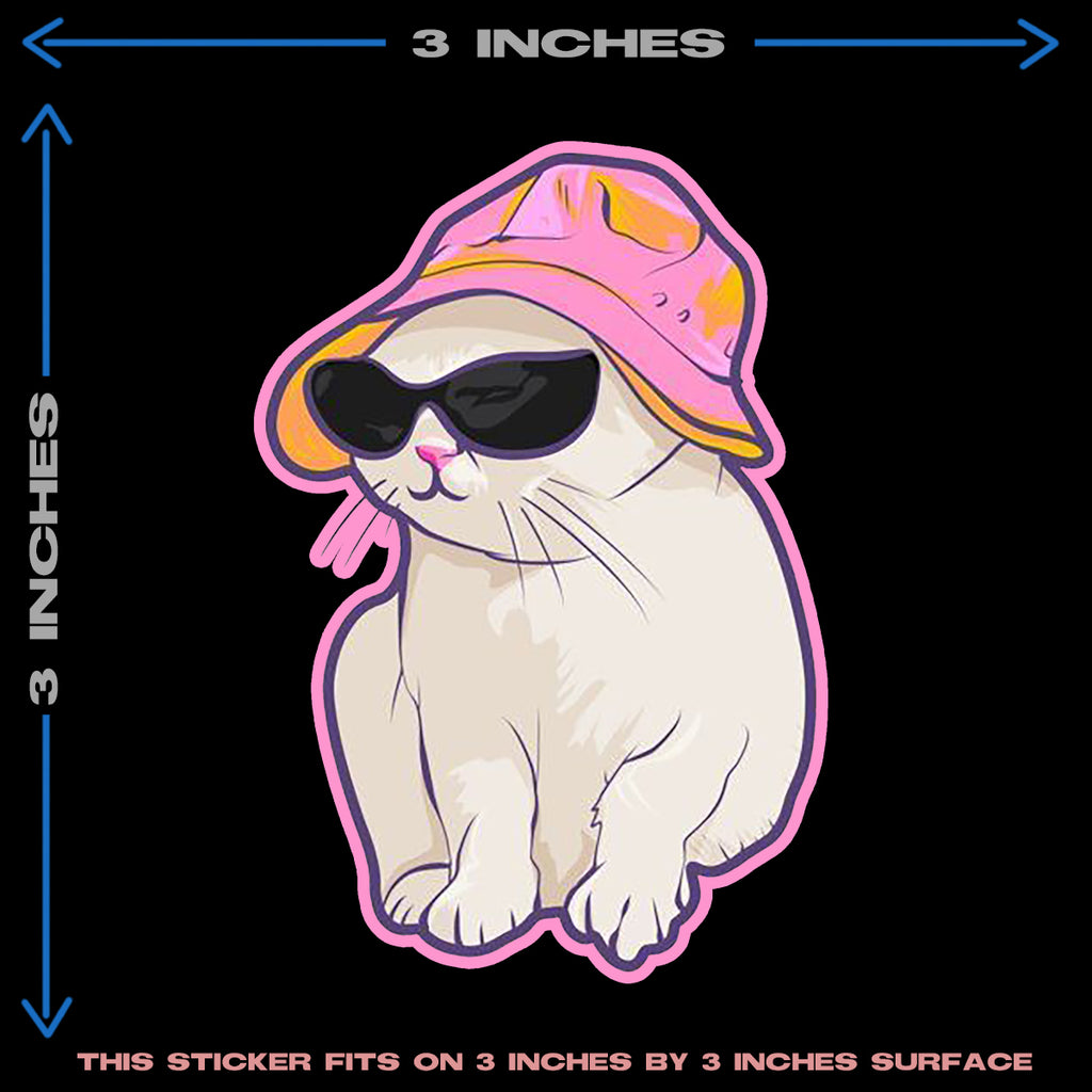 CAT WEARING CAP HEAT PATCH